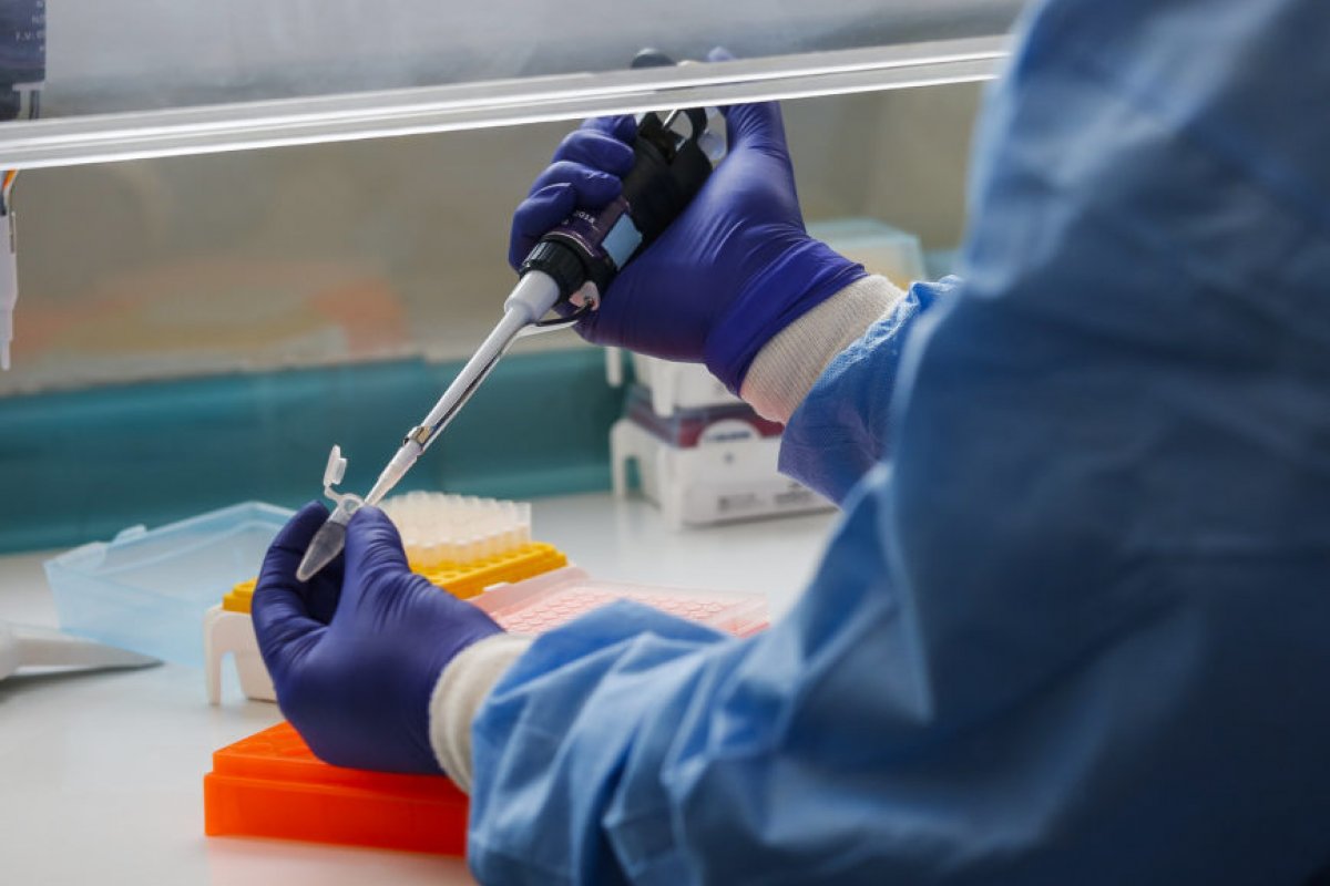 Cientistas brasileiros estão desenvolvendo vacina contra o novo coronavírus