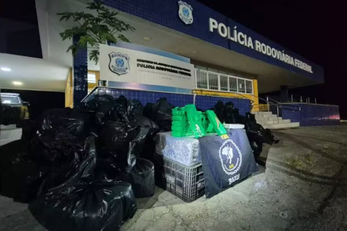 PRF apreende mais de 1,6 tonelada de drogas em caixas de frutas dentro de caminhão na BR-116