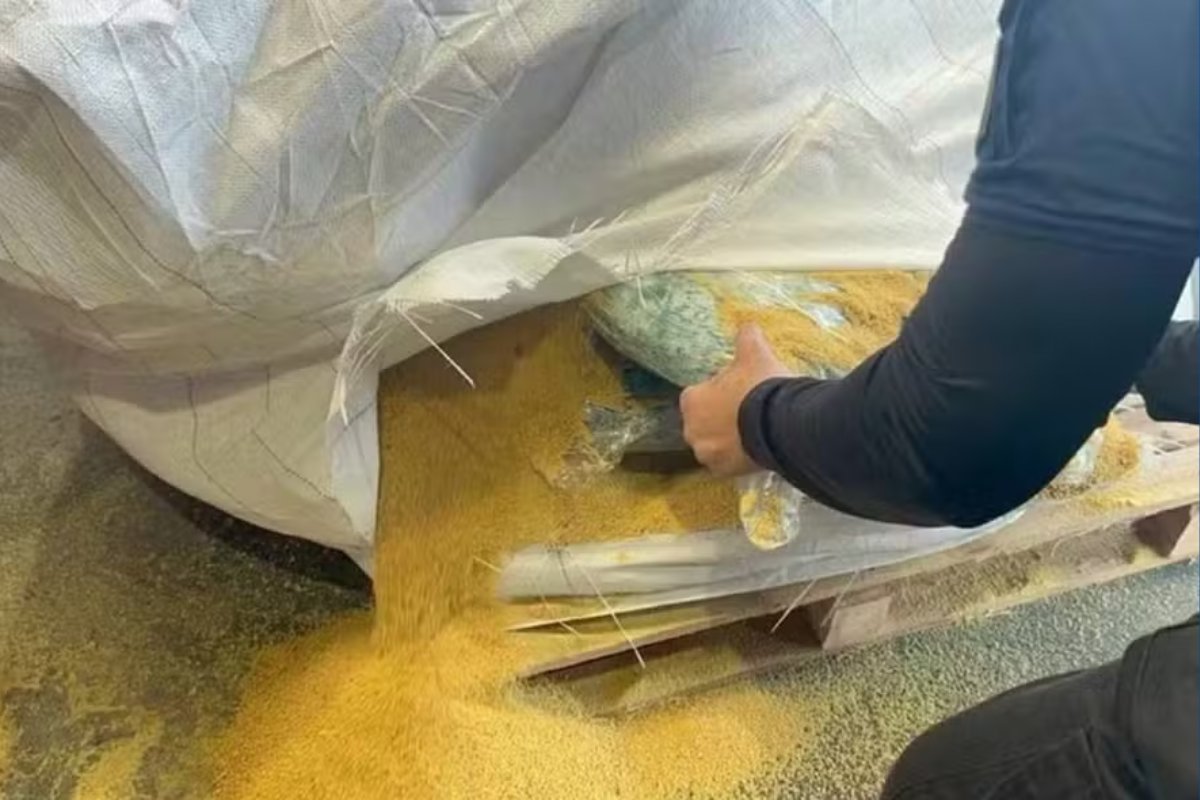 Vídeo: Receita Federal apreende 200 kg de cocaína em carga de soja no Porto de Salvador