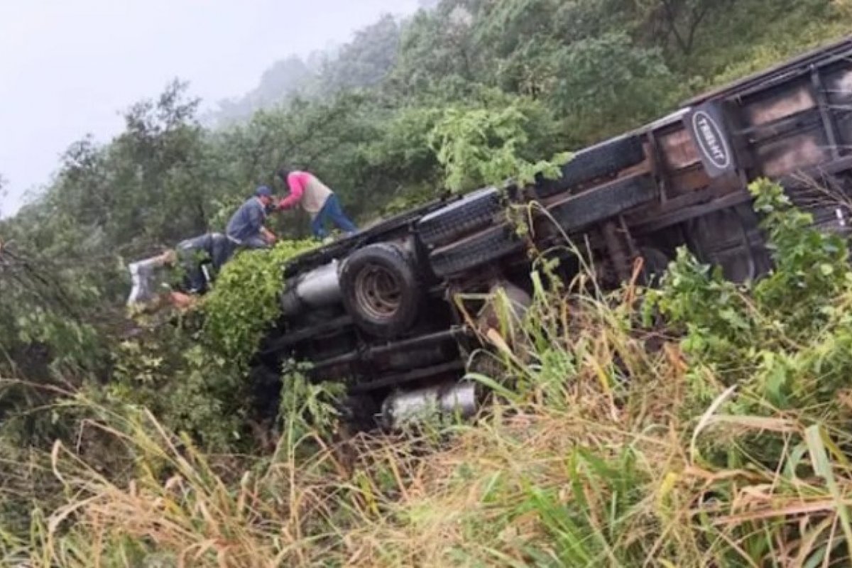 Caminhão com porcos tomba e deixa dois feridos na BA-131