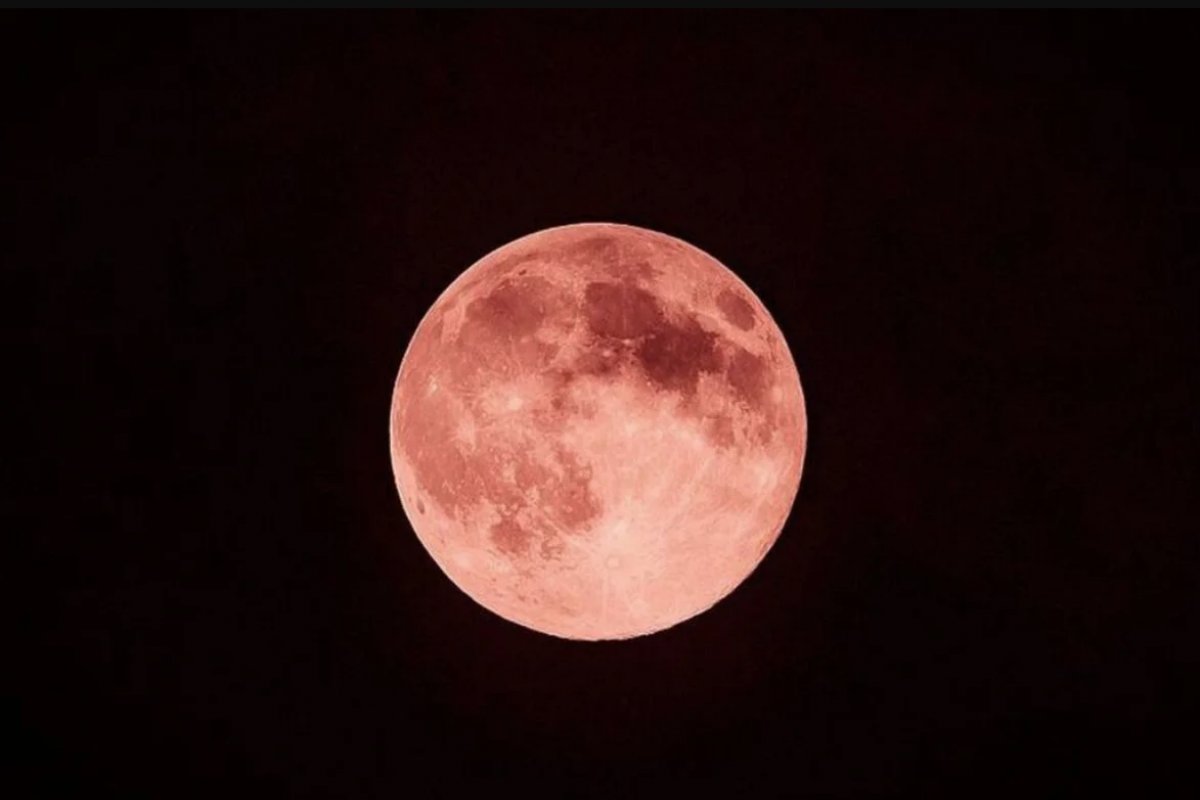 Fãs de astronomia poderão observar 'Lua de Morango' a olho nu nesta segunda-feira (29)