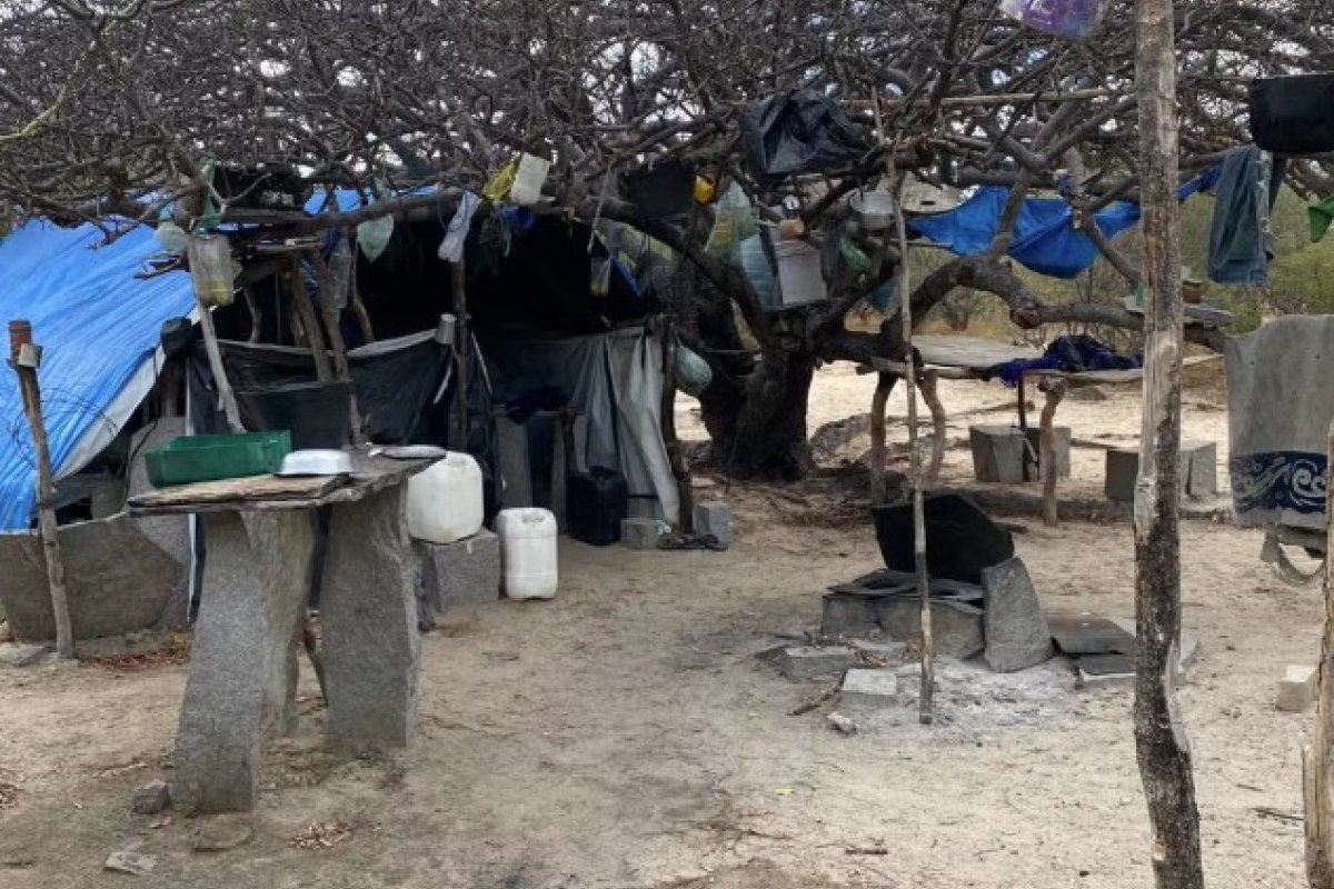 Vinte pessoas são resgatadas de trabalho análogo a escravidão no norte da Bahia