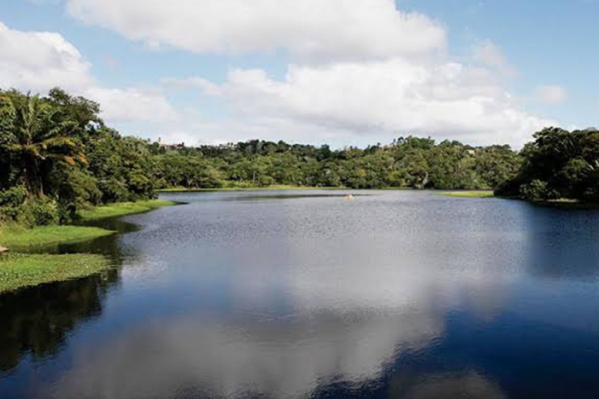 MPF pede indenização de R$ 3,9 milhões por condomínio construído em área de preservação em Lauro de Freitas