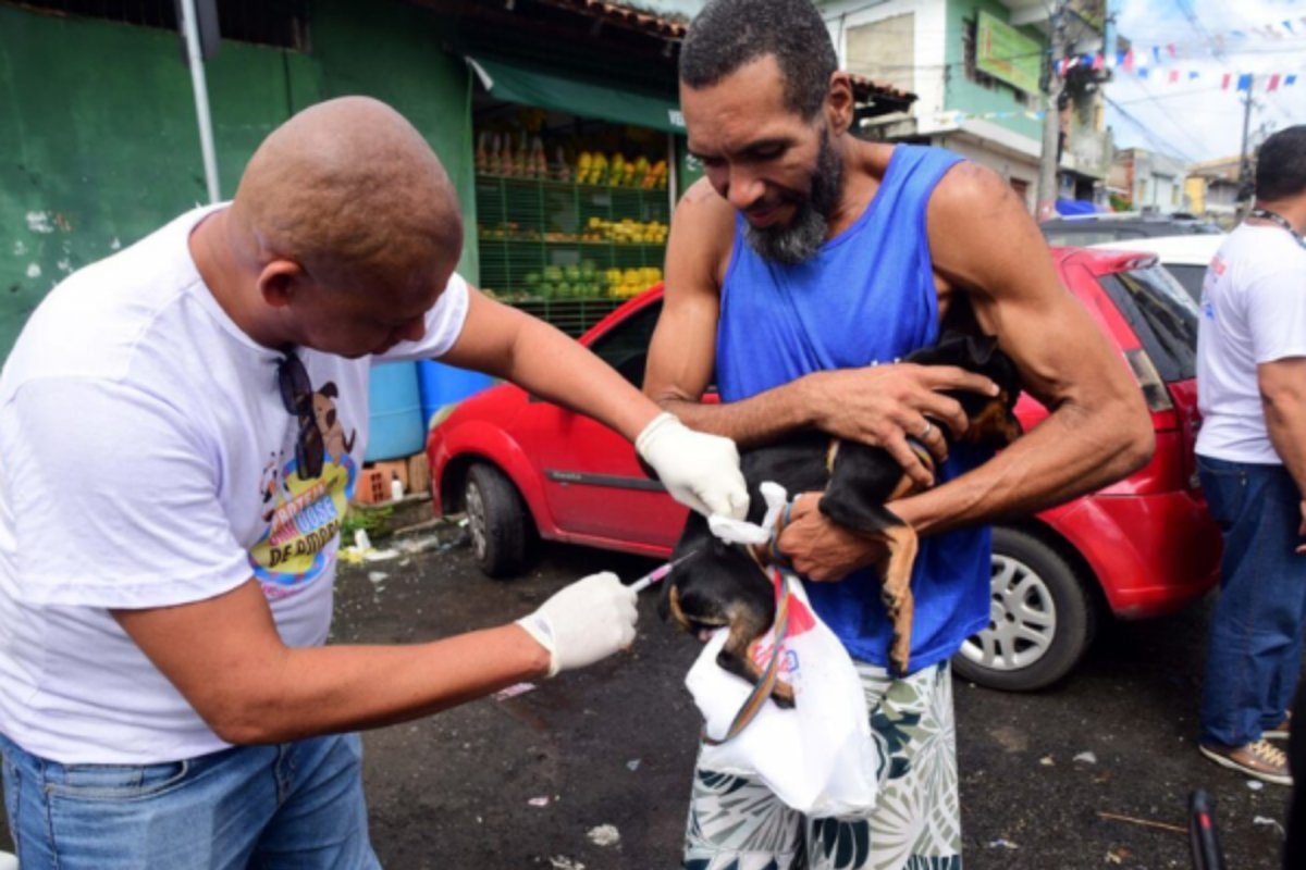 Salvador inicia campanha de vacinação antirrábica para cães e gatos nesta segunda-feira (20)