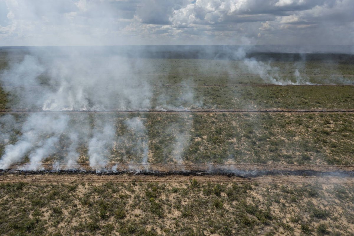 Área queimada no Brasil cai 58% em 2025, um ano após incêndios históricos