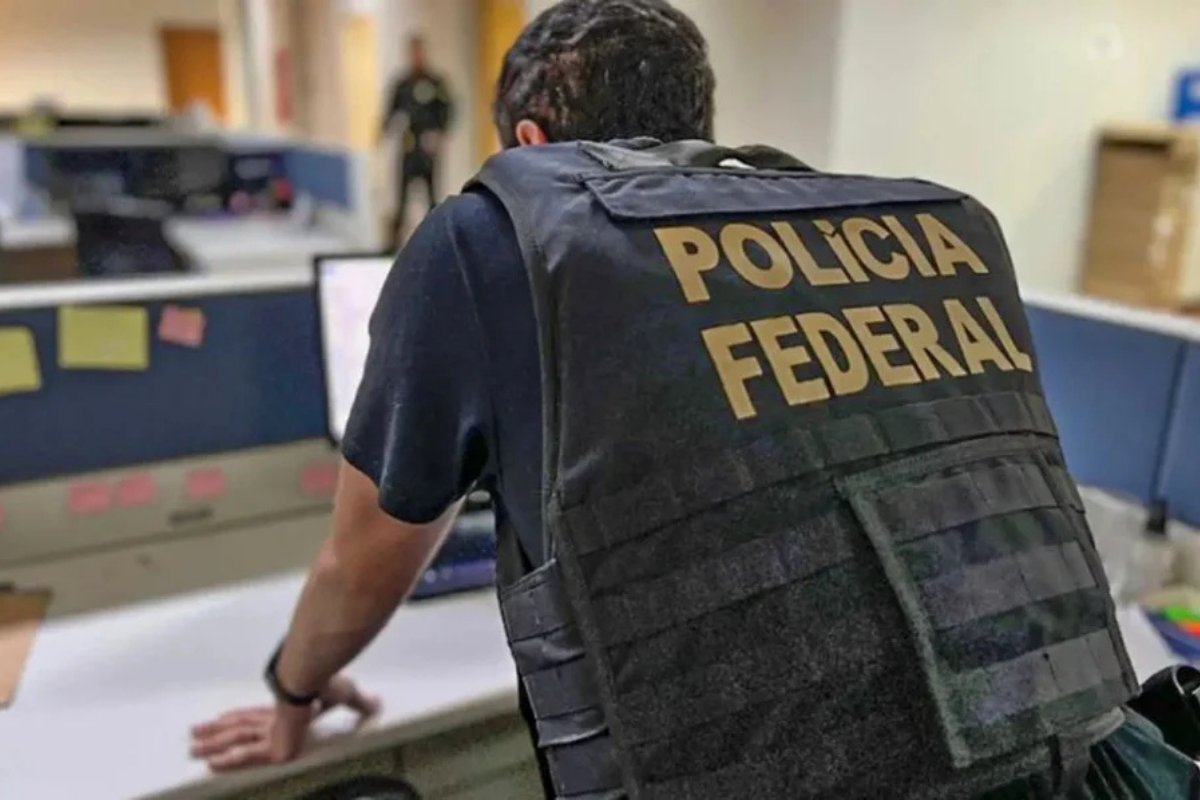 Cinco pessoas são presas durante operação da PF contra plantio ilegal de maconha 
