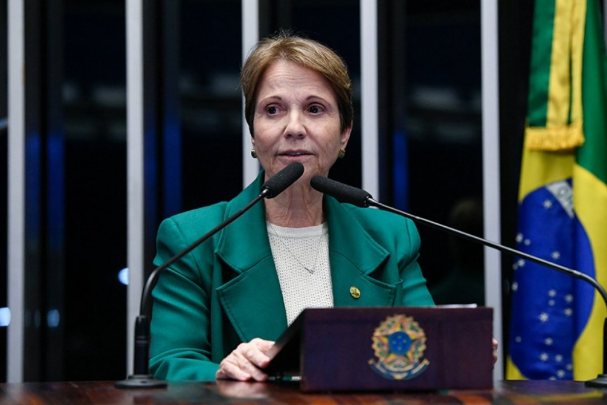 Tereza Cristina aceita convite para ser vice de Flávio, mas aliança depende de aval partidário