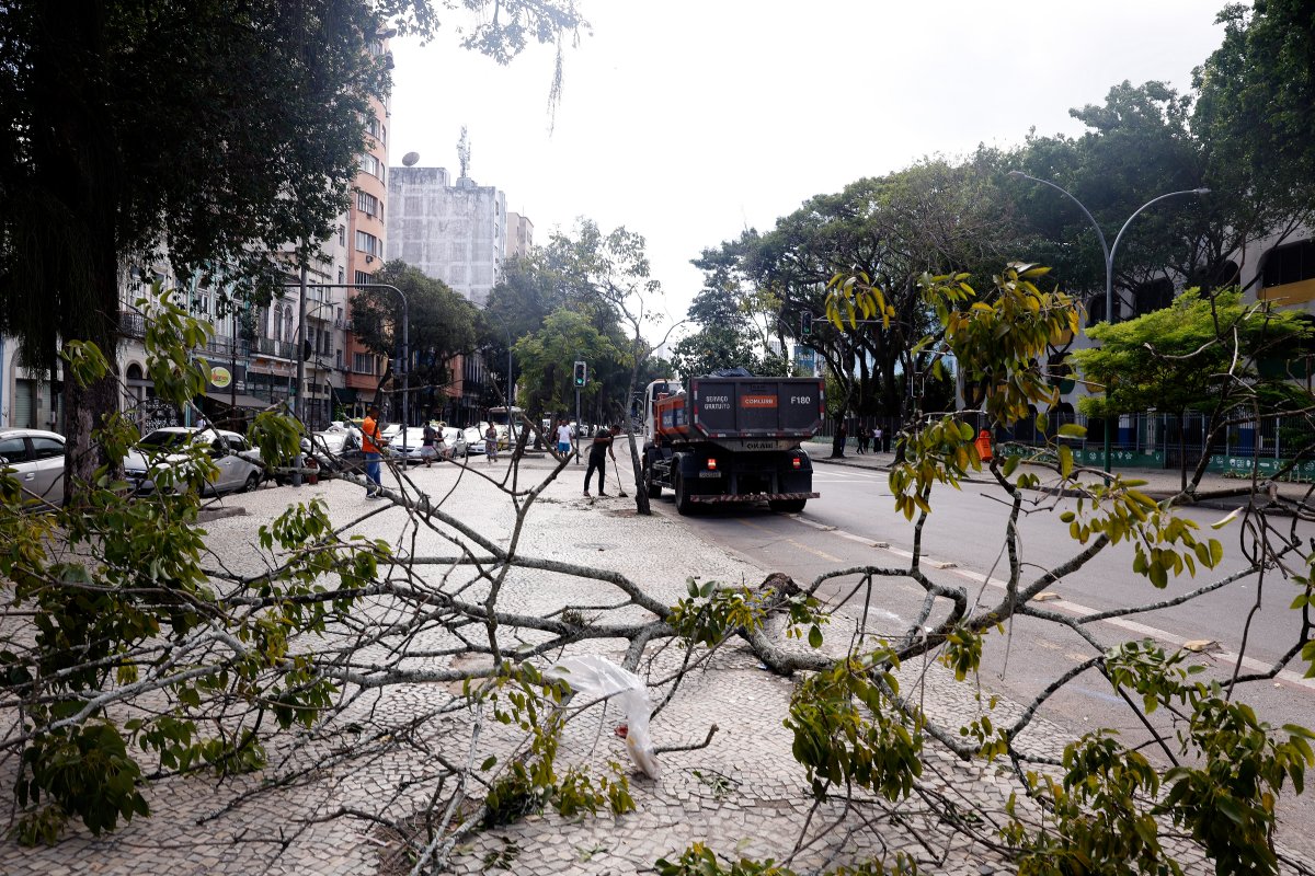 Inmet emite alerta de vendaval para 93 municípios baianos; veja quais