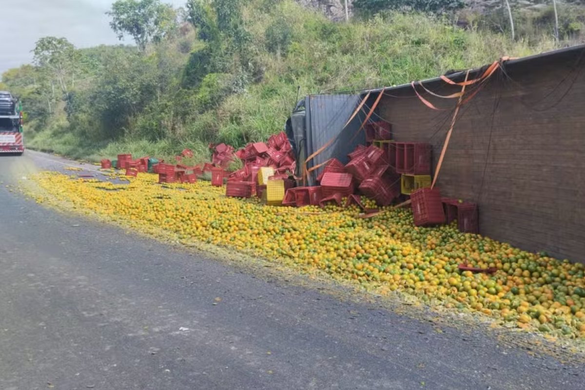 Dois caminhões colidem em trecho da BR-101 na Bahia; carga foi saqueada 