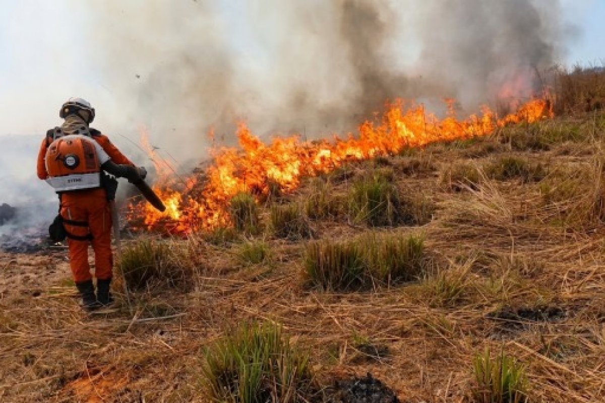 141 bombeiros militares combatem incêndios nas regiões Oeste, Norte, Chapada, Meio-Oeste e Sudoeste 