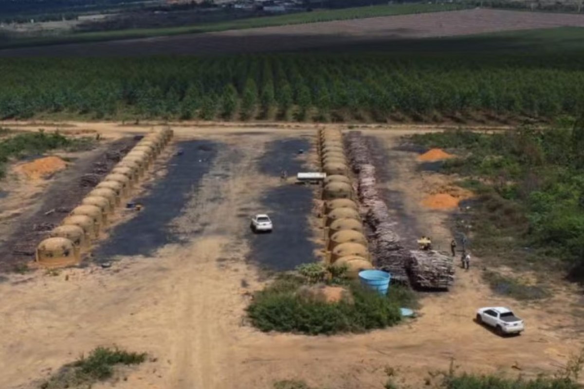 Mais de 200 hectares de desmatamento ilegal são identificados pelo MP-BA 