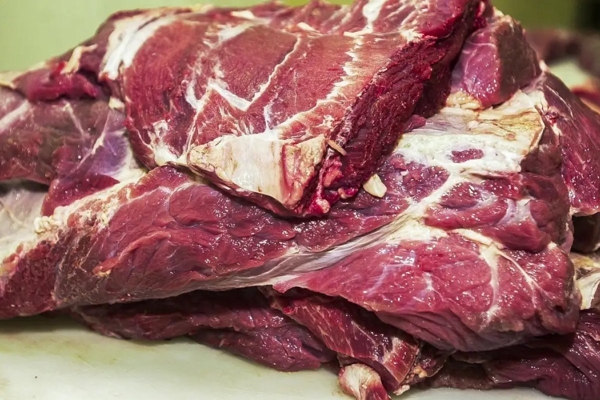 União Europeia suspenderá importações de carne brasileira a partir de quinta (3)