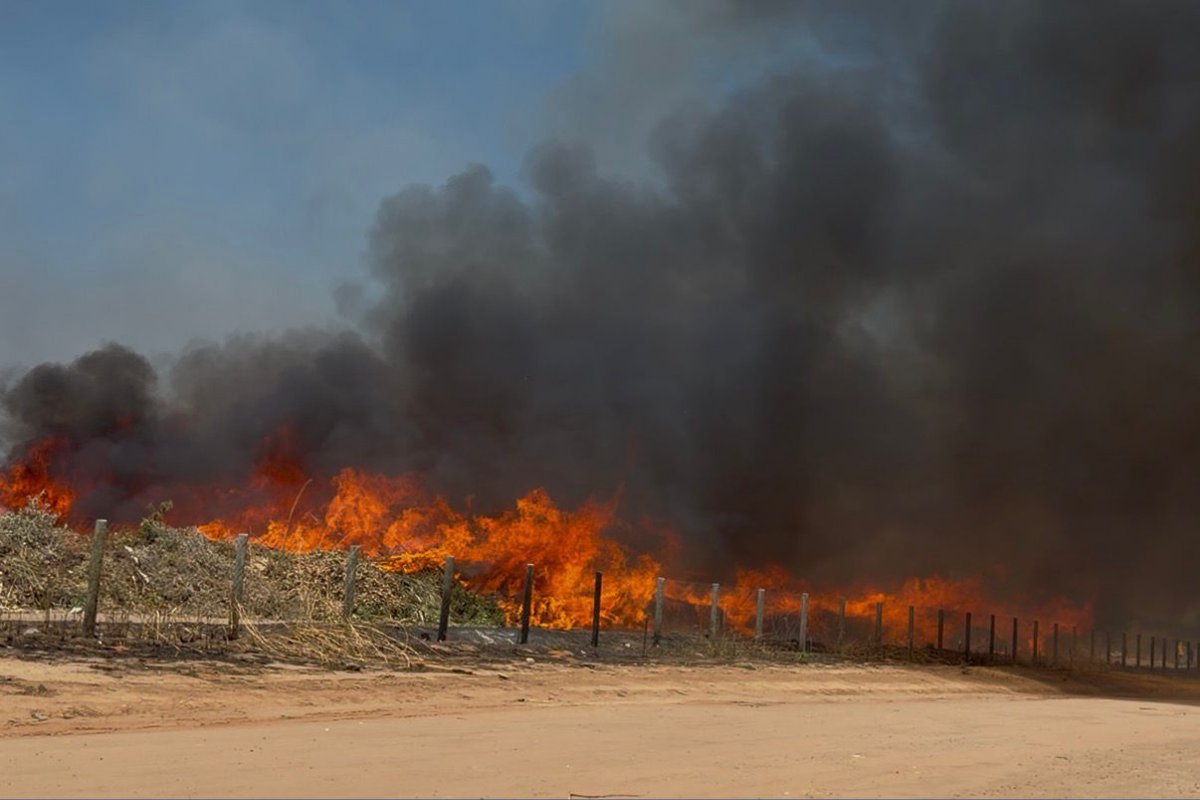 Luís Eduardo Magalhães registra pelo menos quatro incêndios florestais