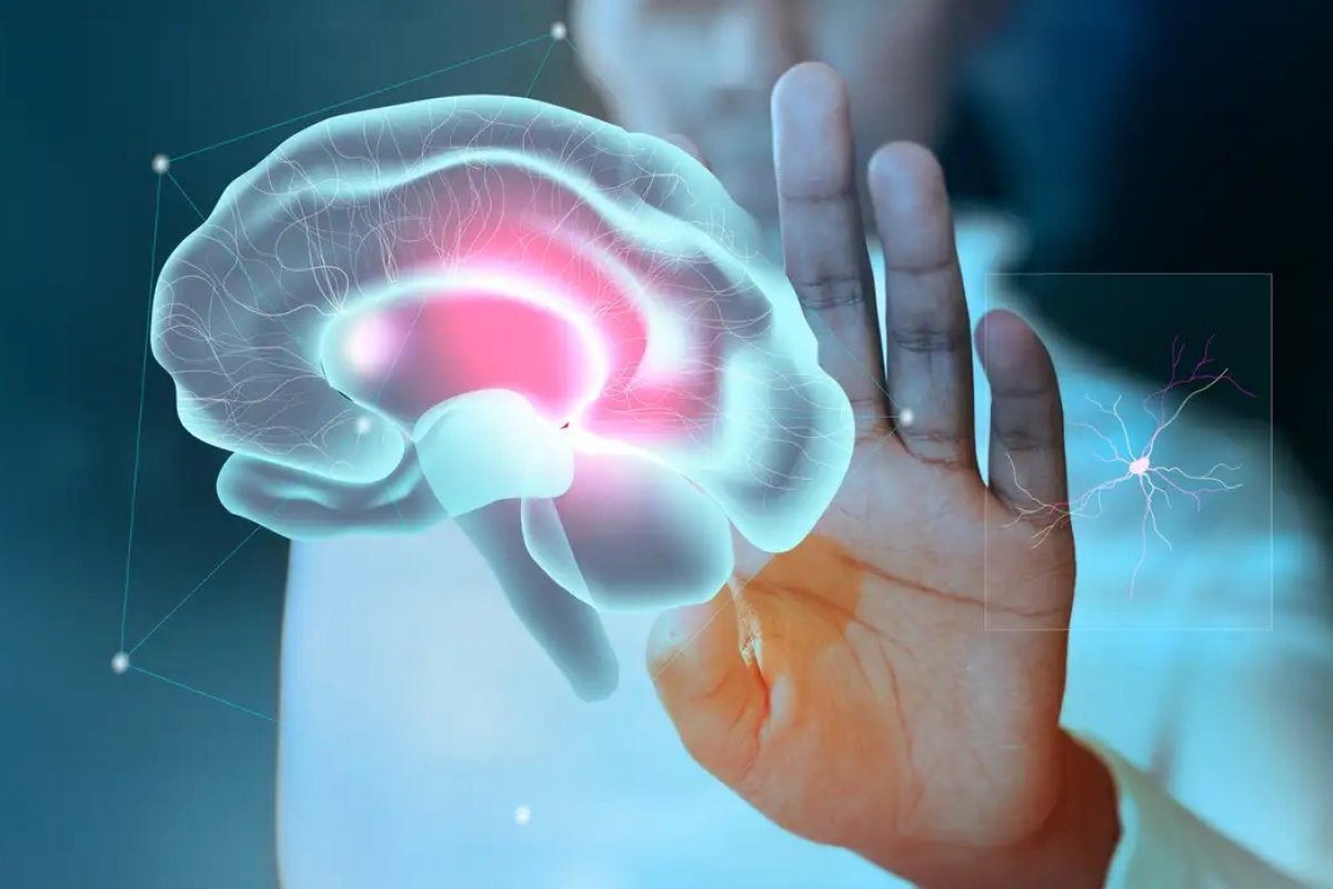 Formação gratuita em neurociência é oferecida a profissionais da educação na Bahia