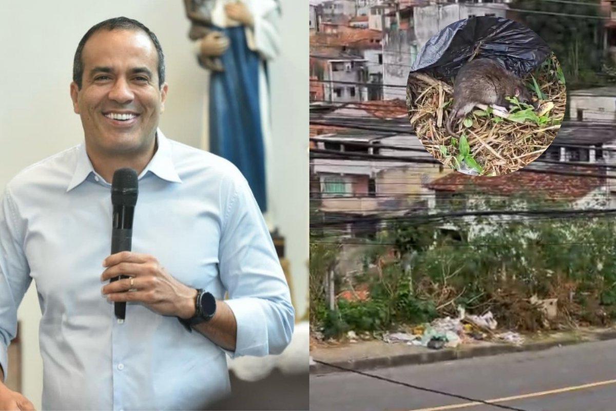 Vídeo: Moradores denunciam abandono, acúmulo de lixo e presença de ratos em Luiz Anselmo
