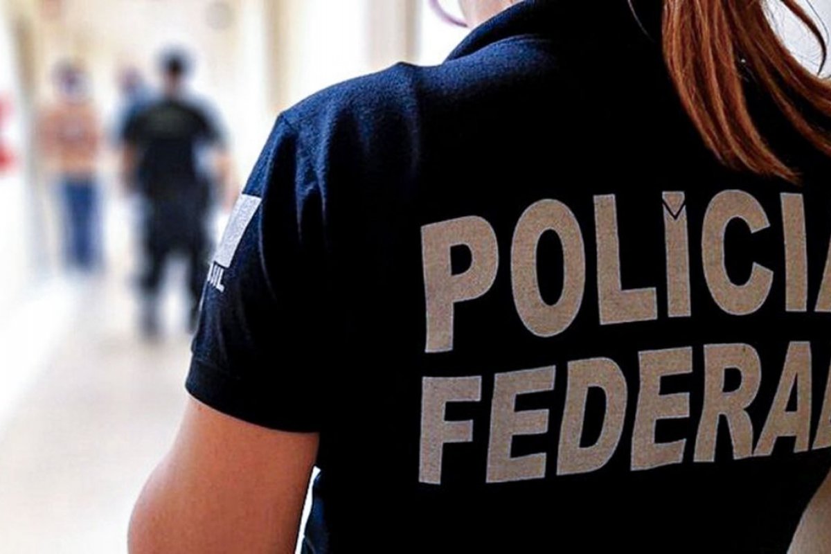 PF prende 11 em operação contra fraudes em registros de armas de colecionadores