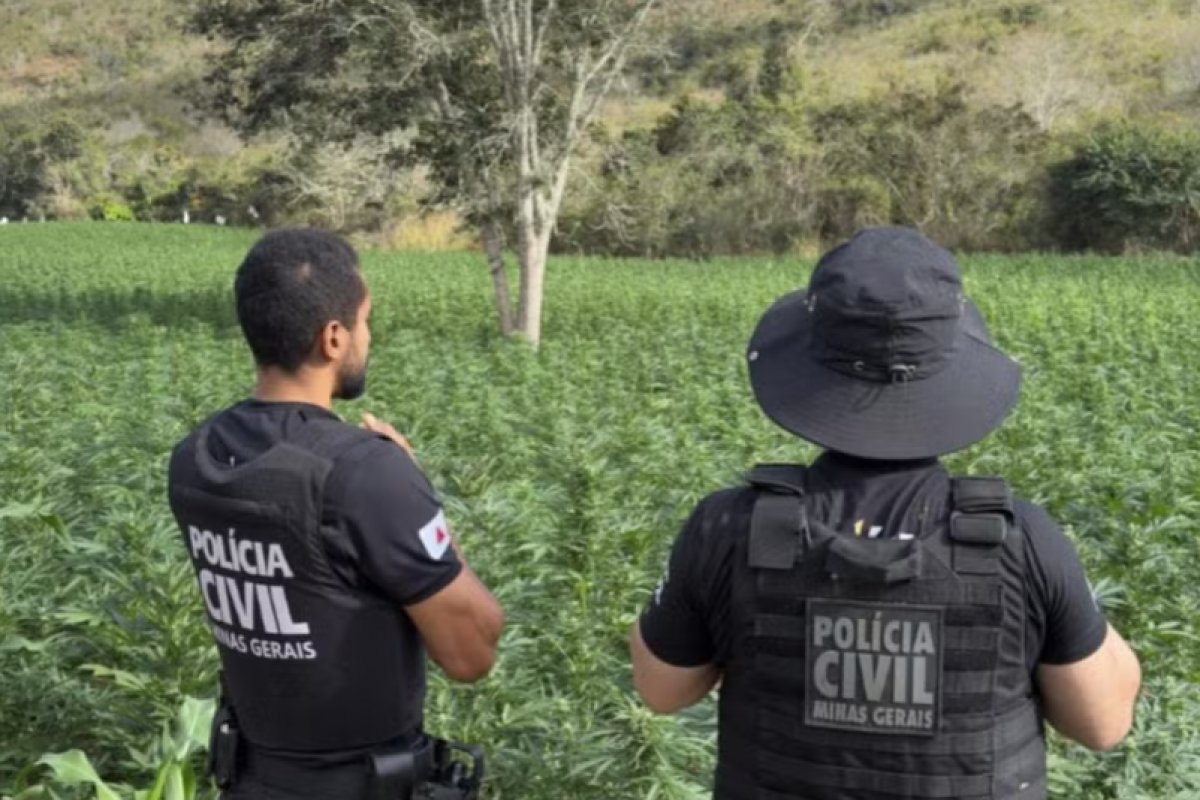 Homem suspeito de integrar esquema de cultivo de maconha em MG é preso na Bahia 