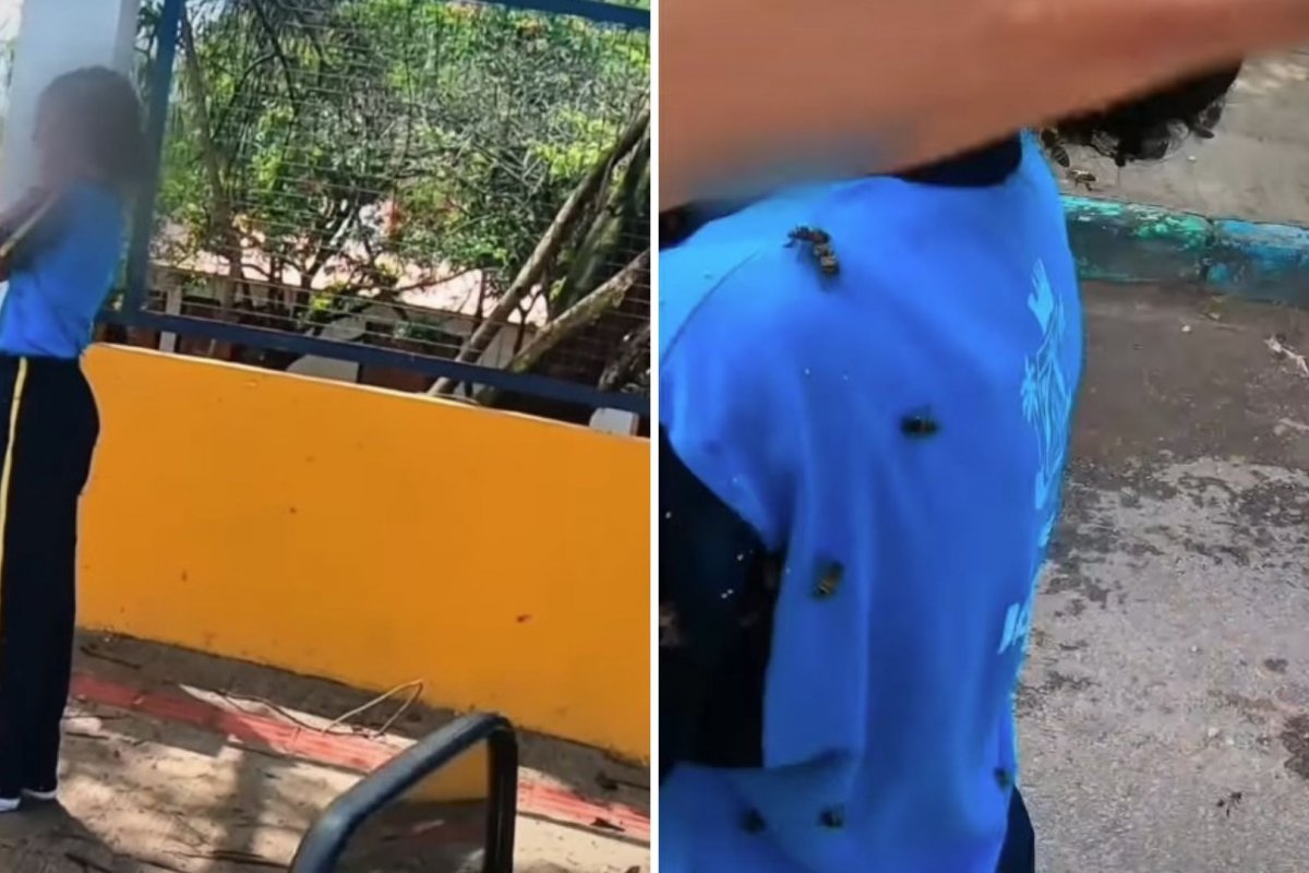 Criança sofre ataque de abelhas e é resgatada por motoboy 
