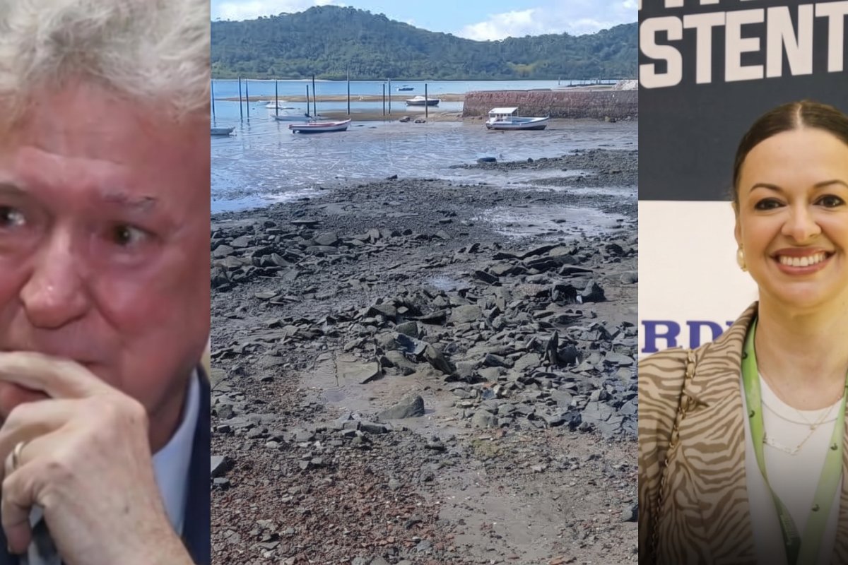 Denúncias colocam em xeque Isabela Suarez e luta pelo meio ambiente