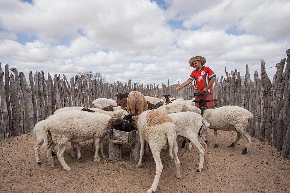 Governo da Bahia envia plano de ação contra El Niño para 80 municípios do semiárido 