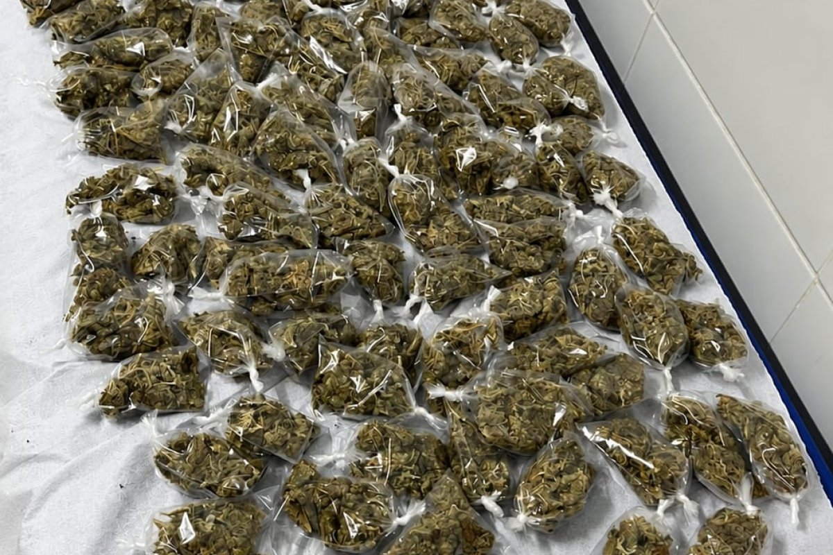 Duas mulheres são presas com droga após perseguição e tiros em Ondina