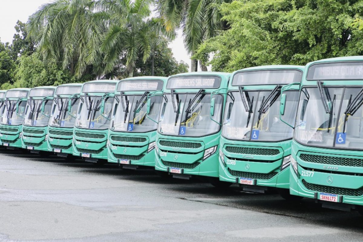 Salvador terá transporte público gratuito no dia das eleições