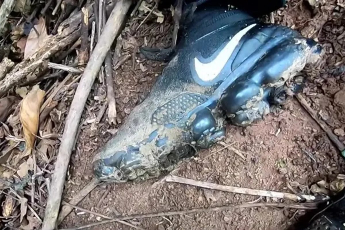 Três corpos são encontrados em área de mata uma semana após operação com nove mortos em Cajazeiras