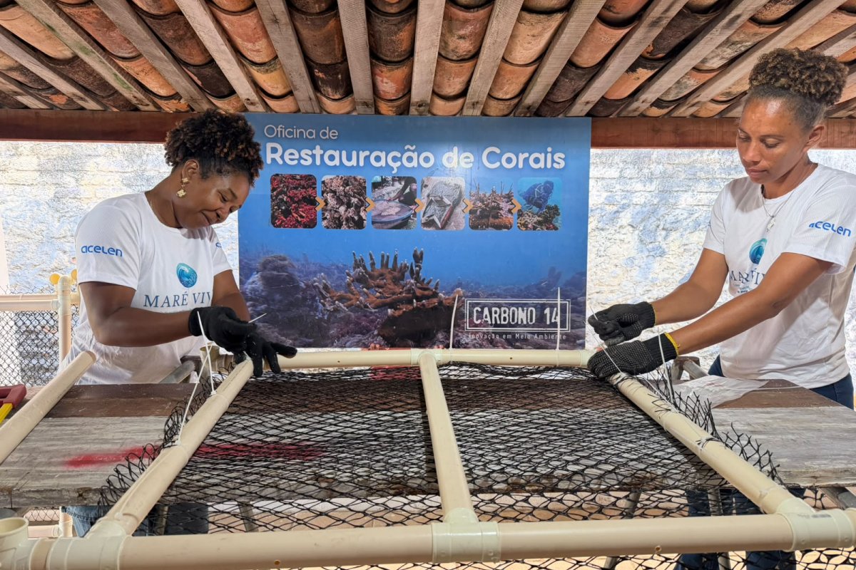 Pescadores de Itaparica participam de projeto para restaurar corais na Baía de Todos-os-Santos