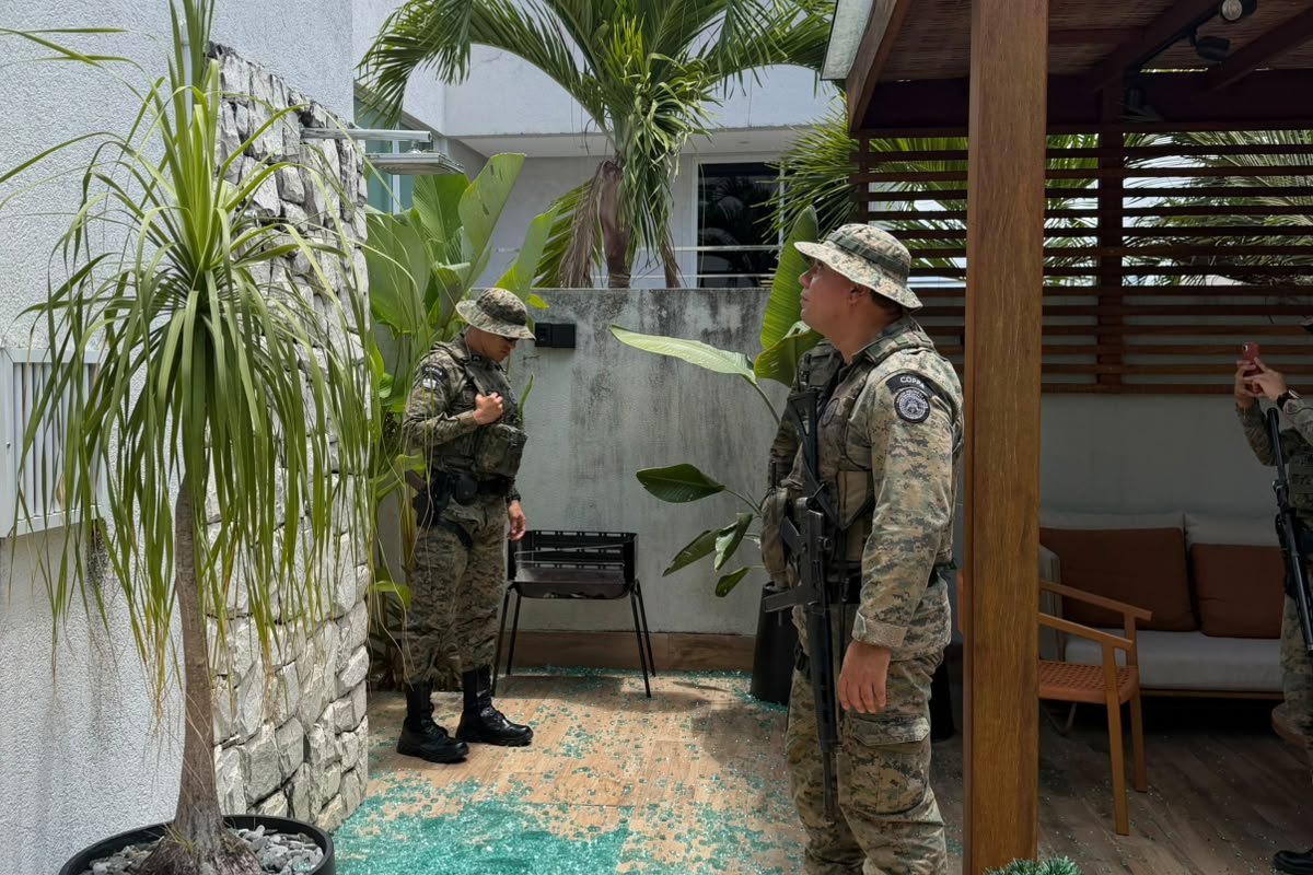 Macaco-prego de Marcell Moraes invade casas, entra em quarto de bebê e fere moradores em condomínio de luxo
