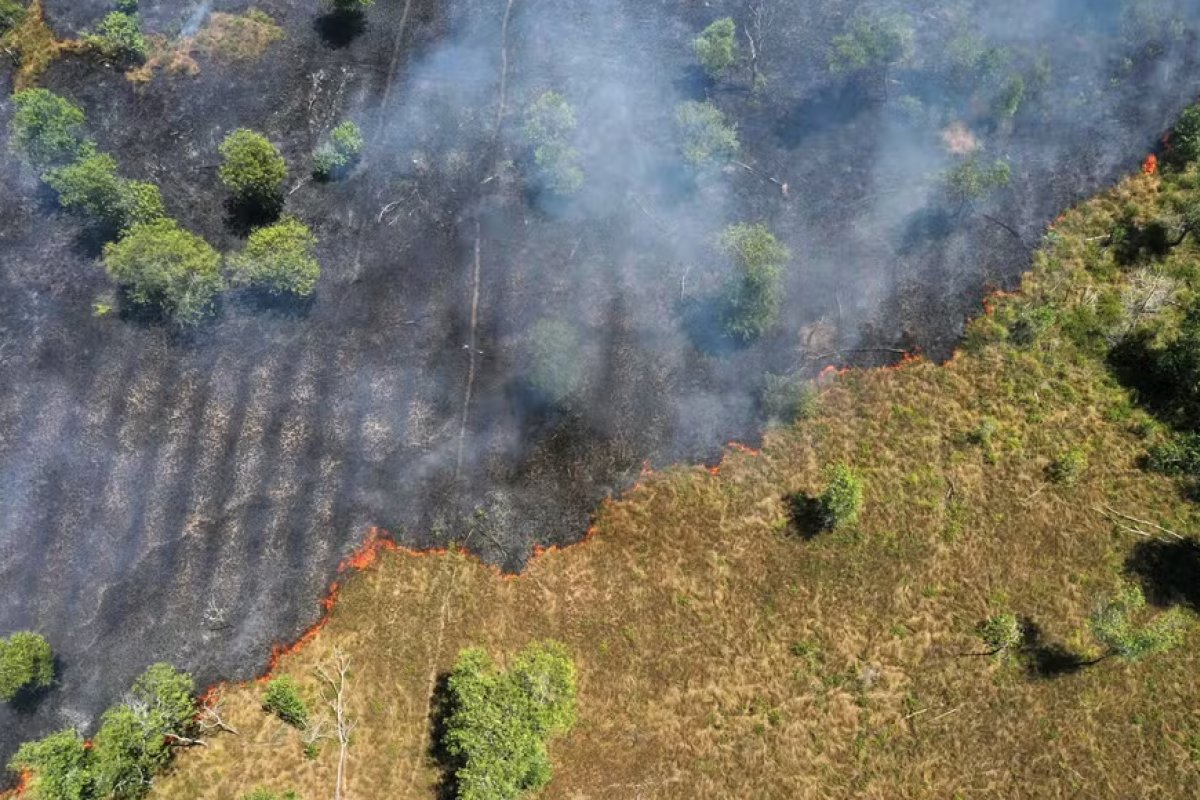 Amazônia atinge menor nível de desmatamento da série história em 2025, aponta MapBiomas 