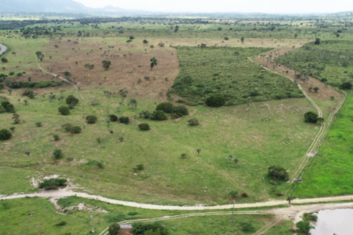MP-BA abre inquérito contra fazenda do grupo André Guimarães por suspeita de dano ambiental