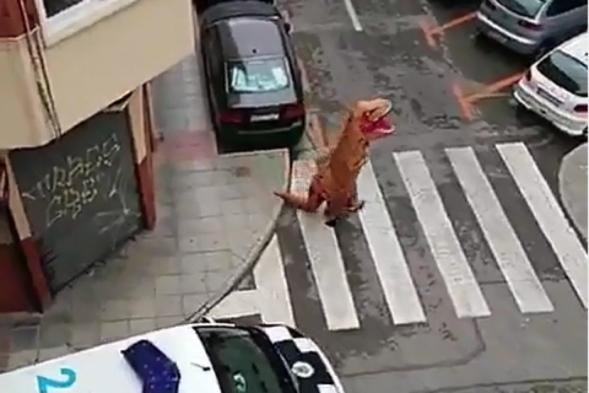  Homem se veste de dinossauro para sair de casa  na Espanha
