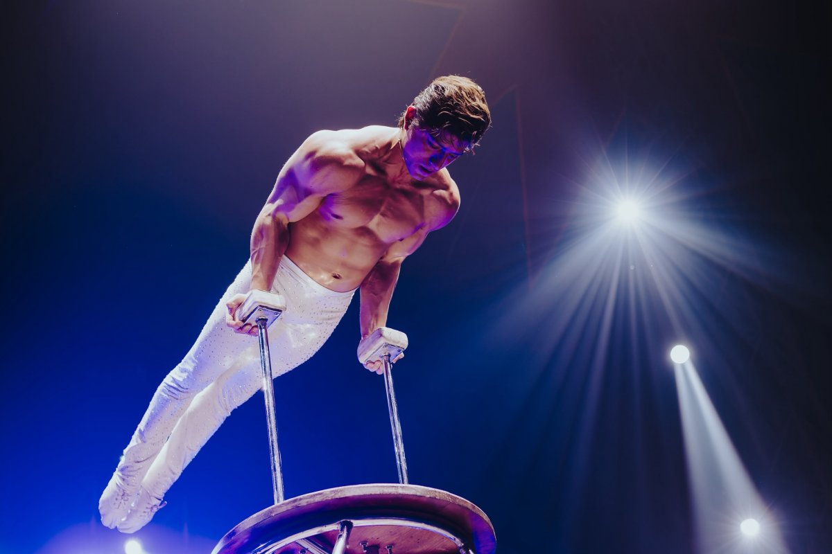 Artistas do Circo Portugal investem em preparação física para garantir espetáculo e segurança! 