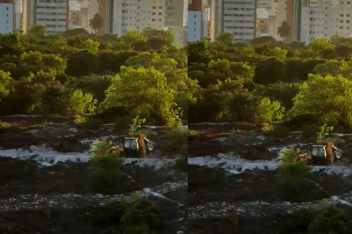 Vídeo: Trator é flagrado em área de preservação ambiental no antigo Centro de Convenções de Salvador