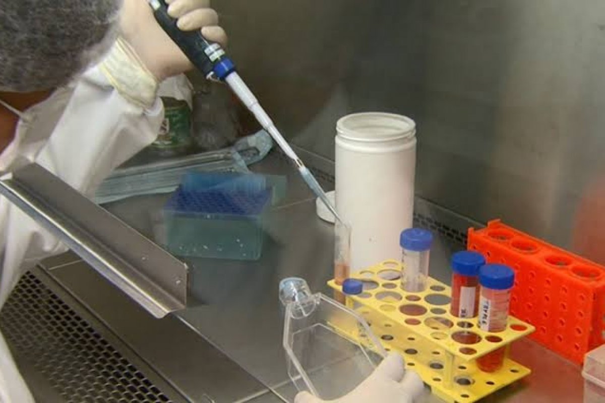 Nordeste concentra quase 80% dos 23 mil testes que aguardam resultado