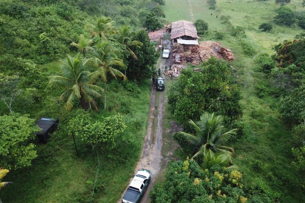 Coppa desarticula serraria e carvoaria ilegais na Bahia