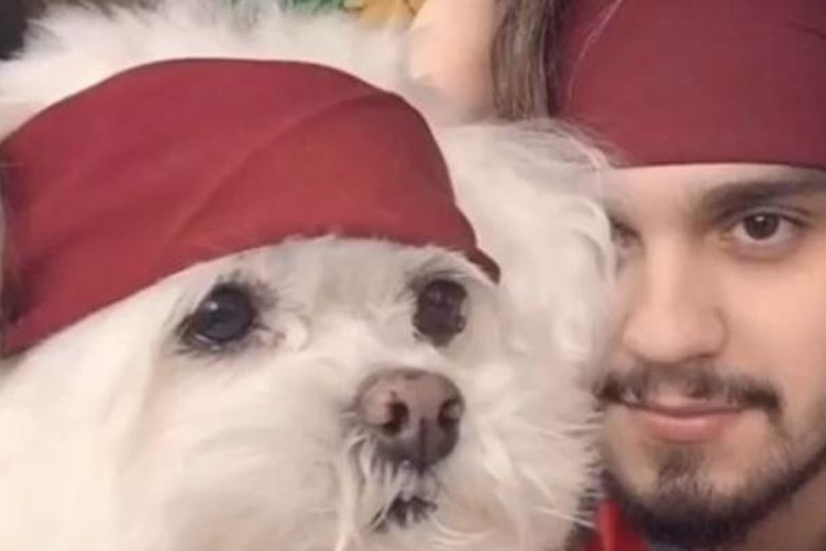 Com declaração emocionante, Luan Santana se despede de seu cachorro 