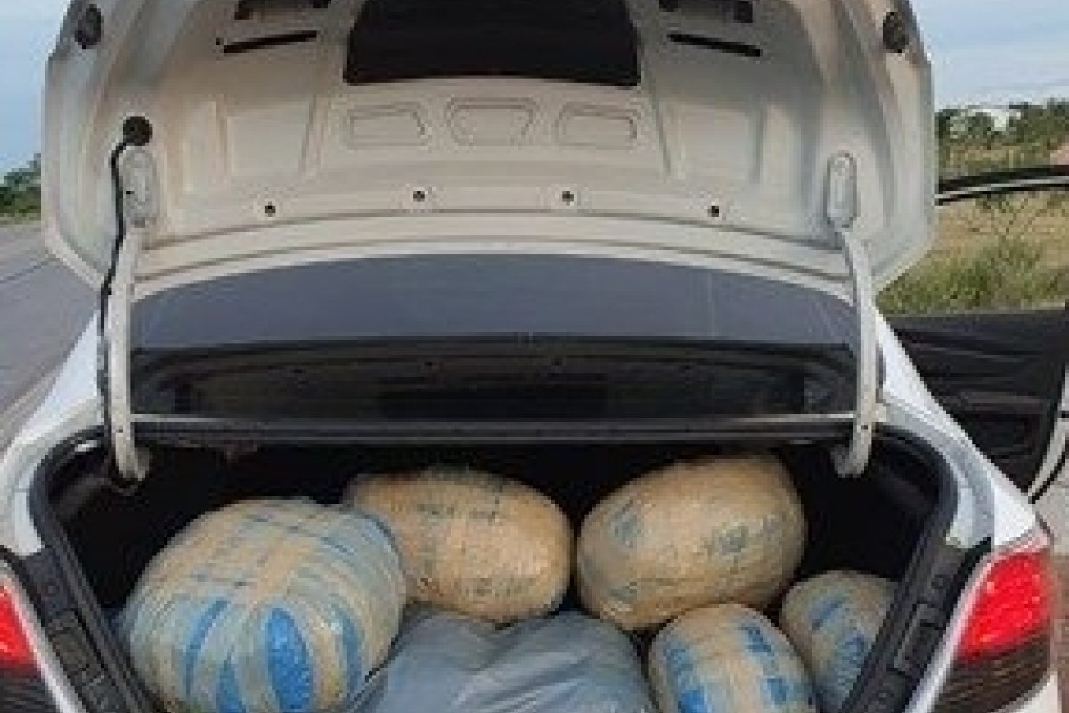 Casal é preso após transportar 65 kg de drogas em um veículo na BR 116