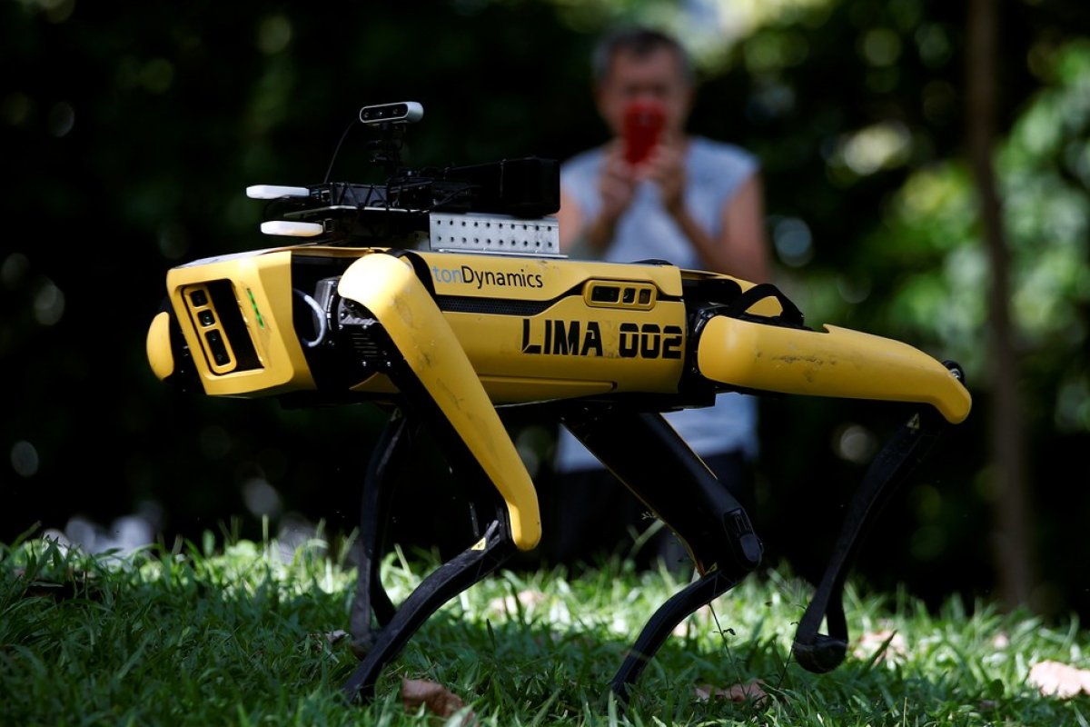 Coronavírus: Cão robô reforça medidas de distanciamento social 