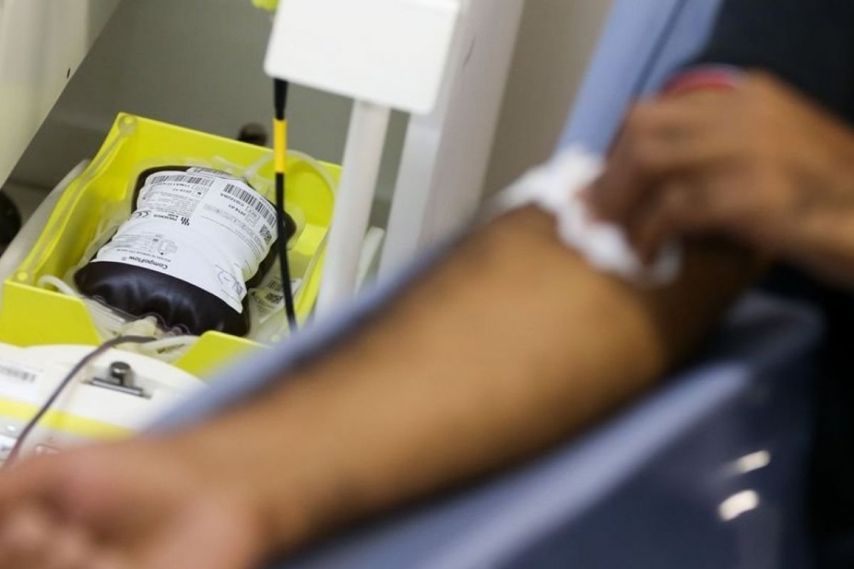 Por maioria, STF derruba restrições de doação de sangue por homens gays
