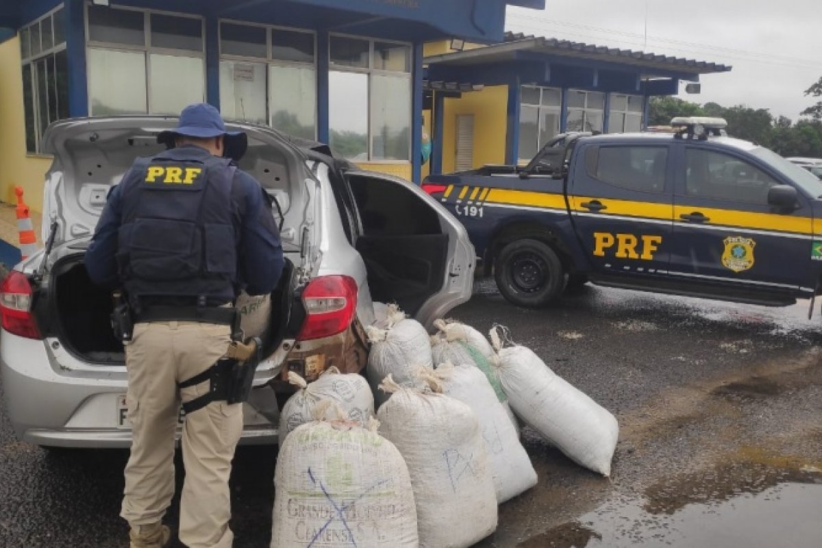 Duas pessoas são presas com aproximadamente 300 quilos de maconha