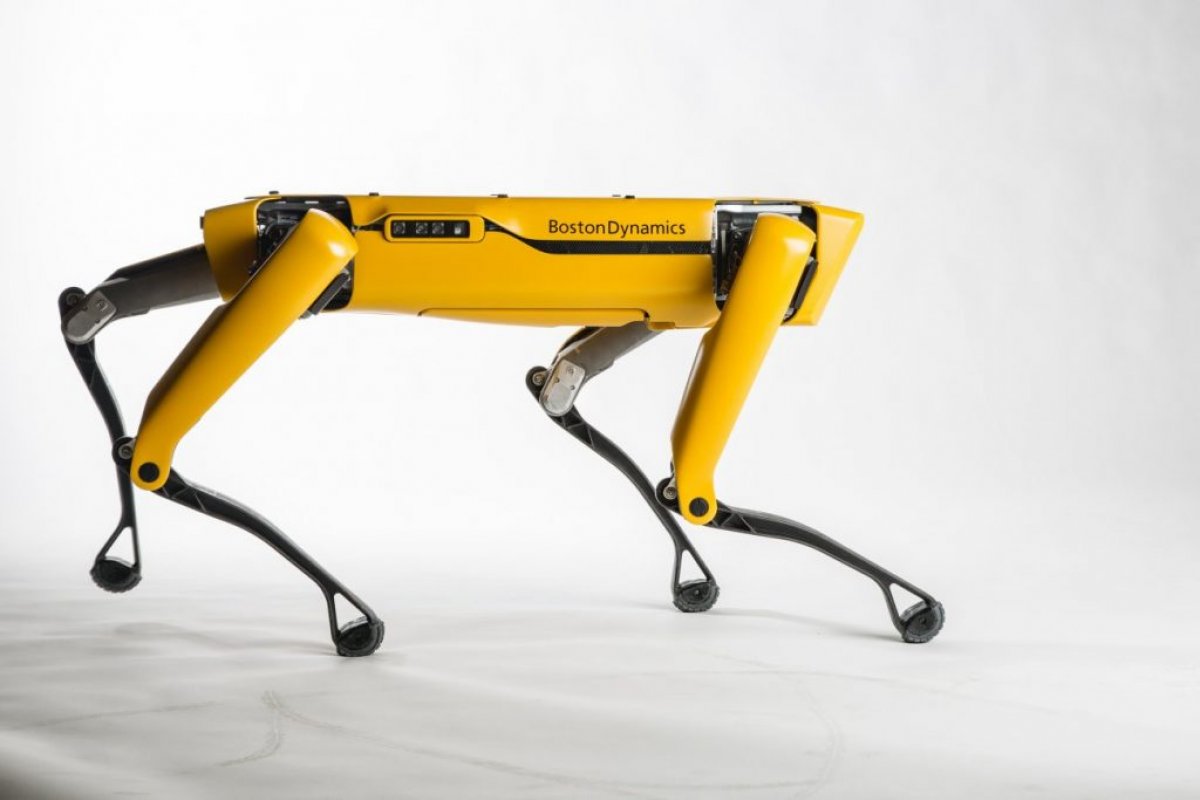 Cão-robô é utilizado em parques de Singapura para alertar pessoas sobre distanciamento social