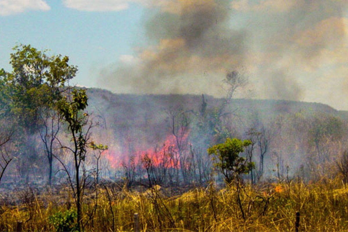 Risco de incêndios florestais aumenta com a chegada do inverno