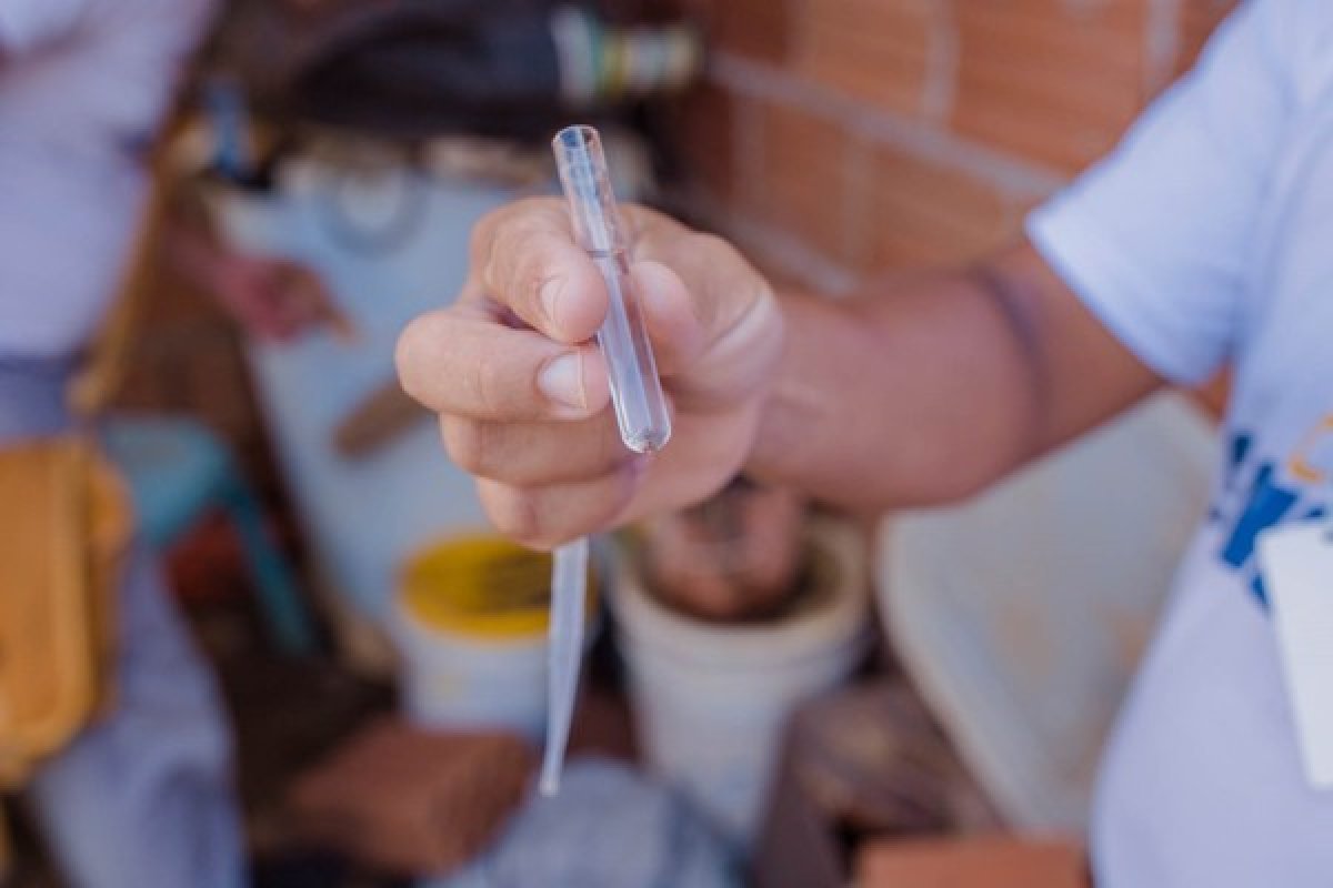Feira de Santana dispara com aumento de quase 80% nos casos de dengue 