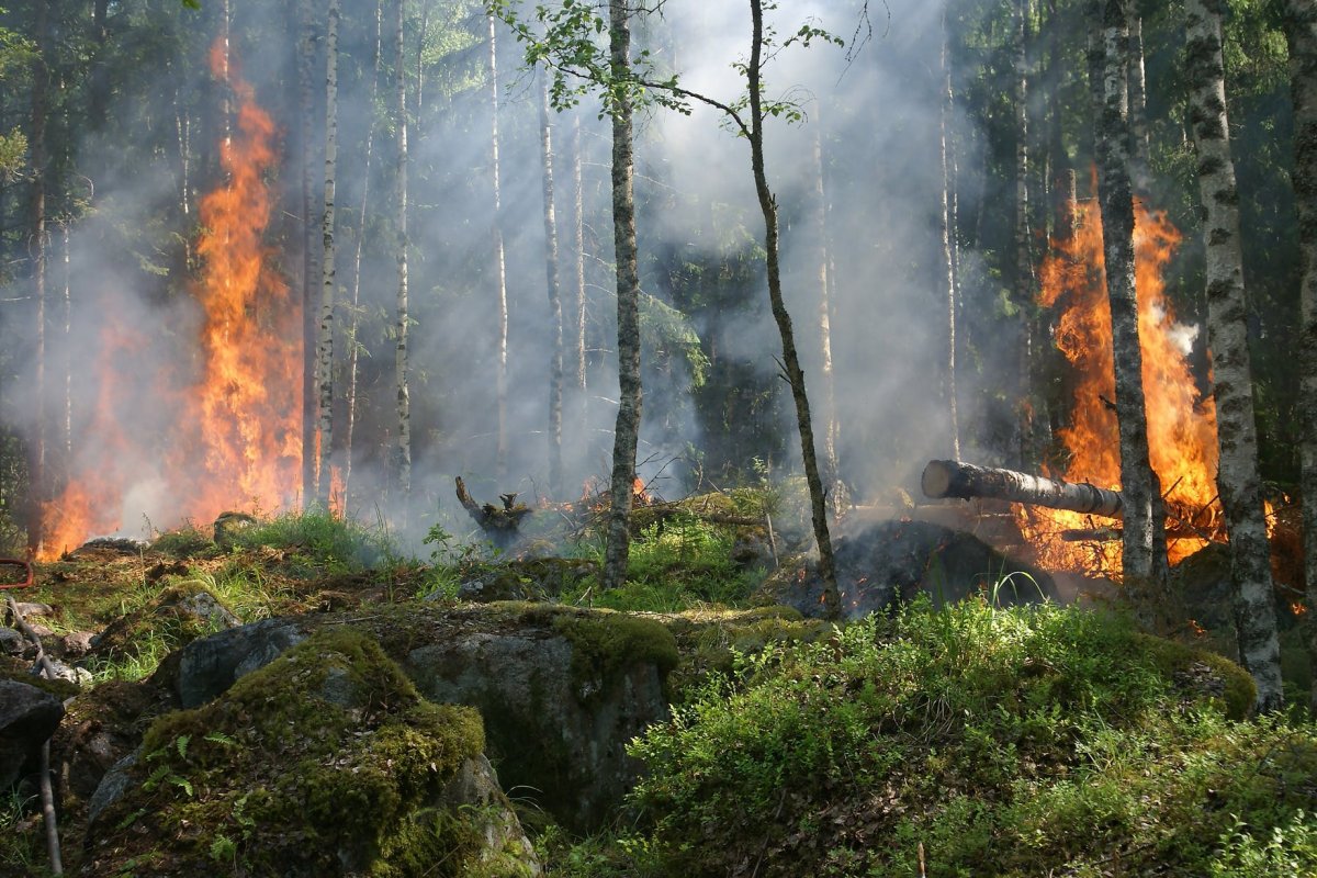 Não seja causador de incêndio