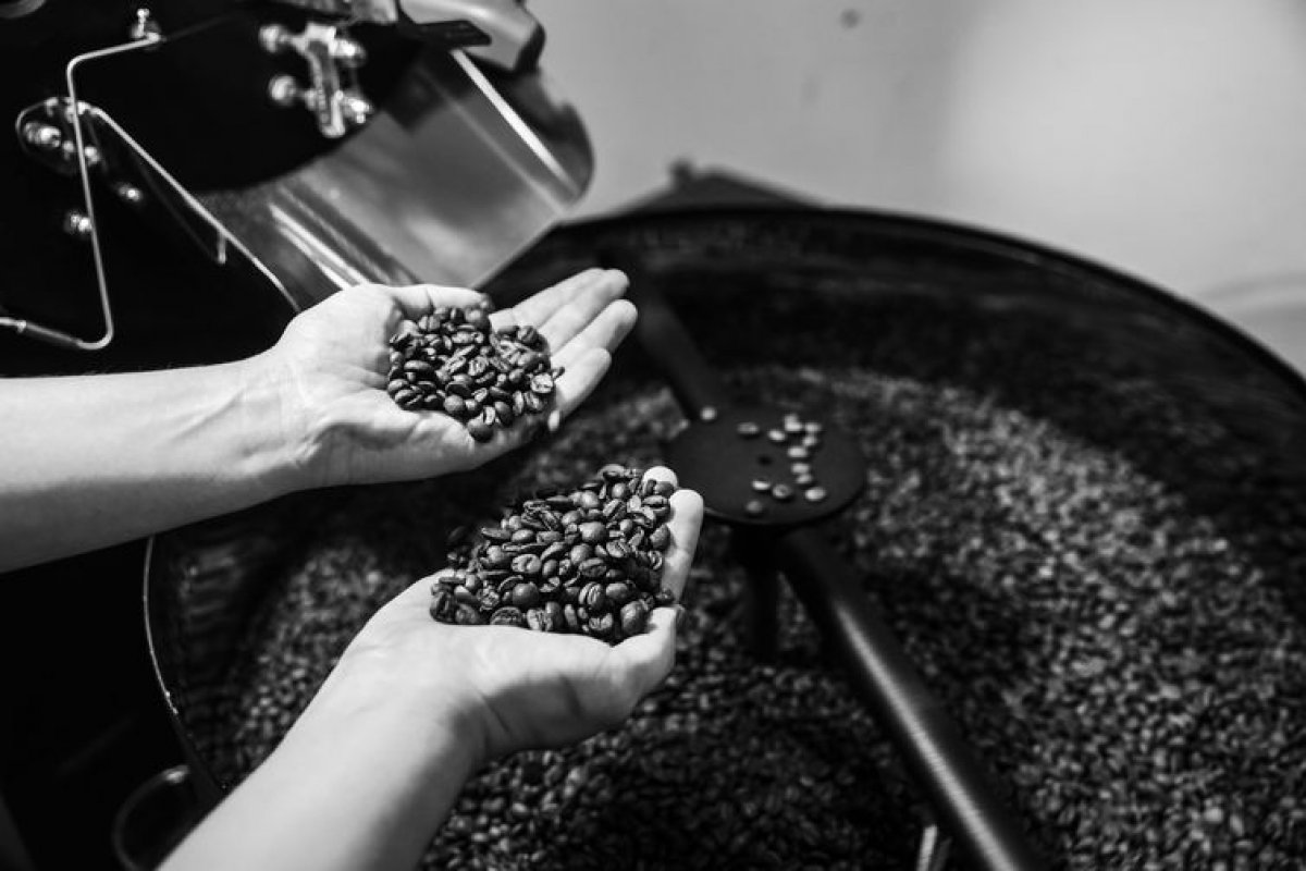 Cafés especiais ampliam mercado dentro e fora do Brasil