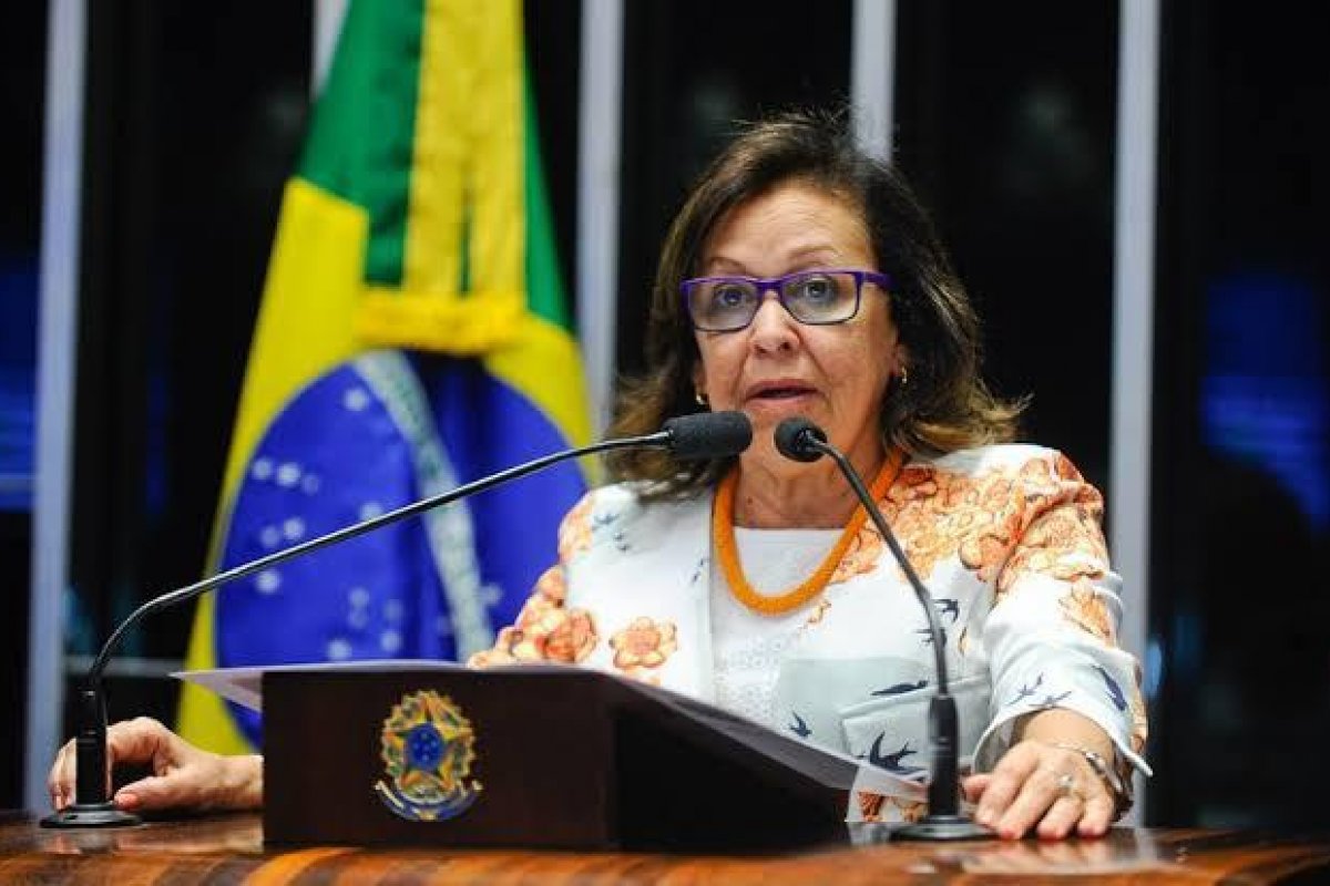 ”Heleno ameaça a democracia e desconhece a Constituição”, afirma Lídice