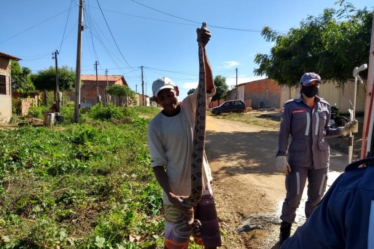 Morador segura jiboia encontrada em residência no oeste da Bahia