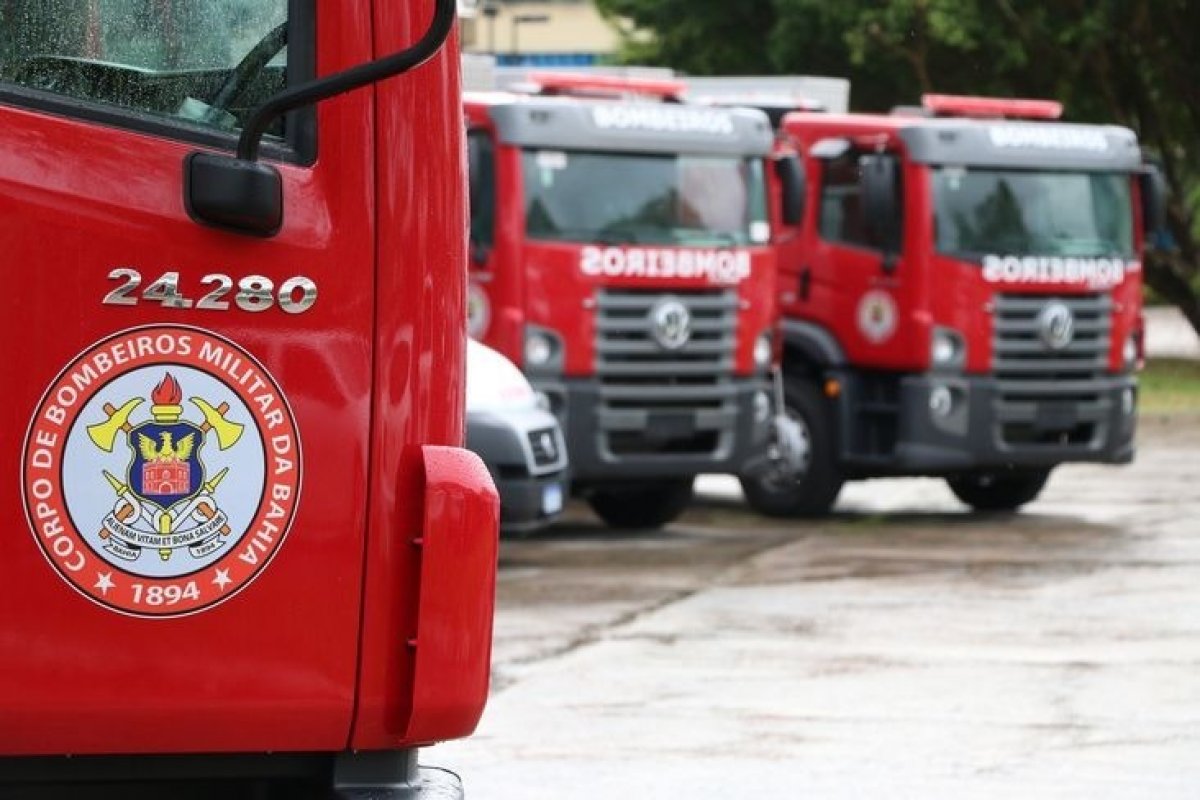 Cobra é resgatada por bombeiros dentro de um armário no norte da Bahia