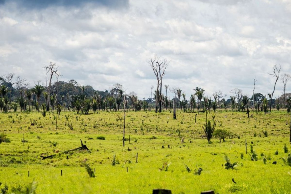 Governo prorroga GLO de proteção da Amazônia por mais trinta dias 